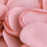 13913 decoration petale de rose poudre tissu satin