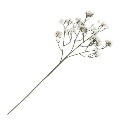 13917 fleur tige gypsophile creme