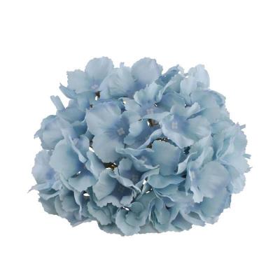 14046 tete hortensia bleu ciel 20cm x 11cm