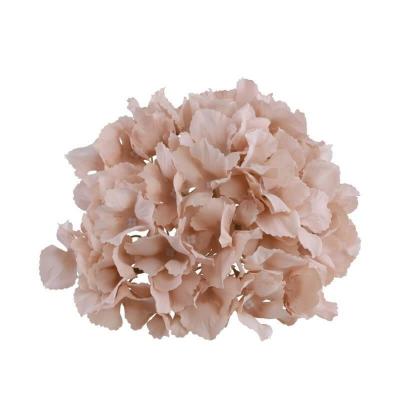 14046 tete hortensia rose poudre 20cm x 11cm