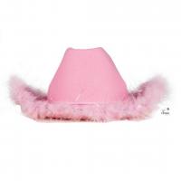 21303 accessoire deguisement chapeau cowgirl rose et plumes