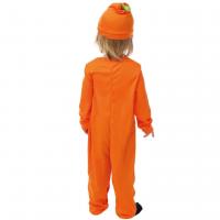 23057 age 1an 2ans costume deguisement enfant halloween citrouille orange