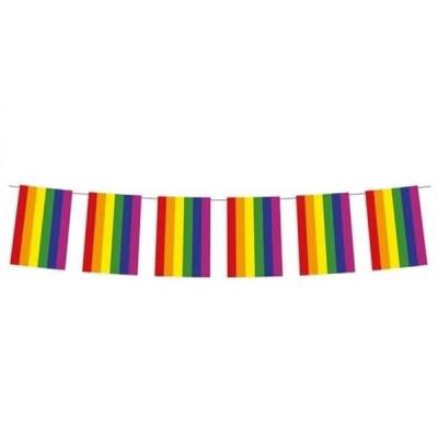 1 Guirlande fanion multicolore Arc-en-ciel 5m REF/23255