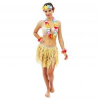 52416 accessoire de deguisement set hawaien avec fleurs multicolores