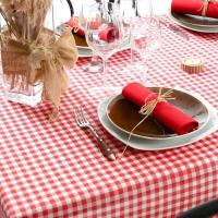 8822 decoration de table nappe intisse vichy rouge 5m