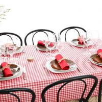 8822 decoration nappe intisse vichy rouge 5m