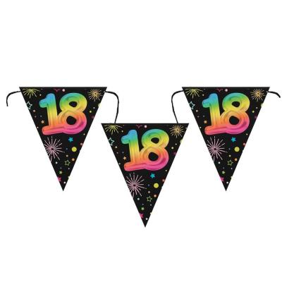 9016 guirlande fanion anniversaire 18ans noir multicolore