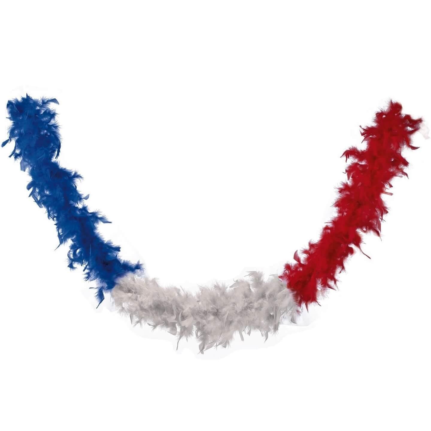 Cocarde tricolore française Ruban bleu blanc rouge 14 juillet -  France