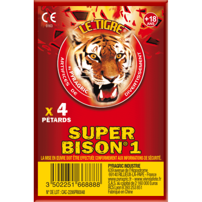 P166888 petard super bison n1 le tigre artifice nord pas de calais f2